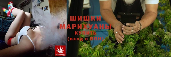 тгк Горняк