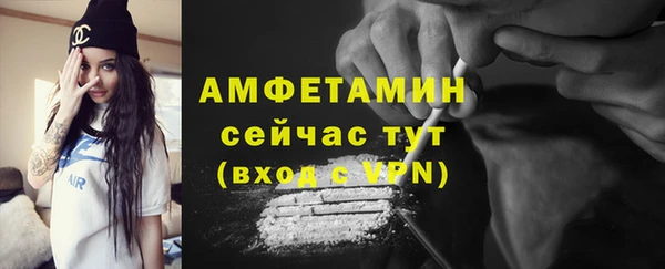 прущие грибы Гусь-Хрустальный