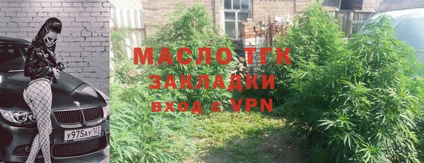 прущие грибы Гусь-Хрустальный