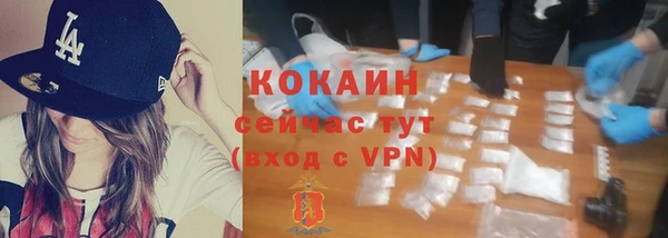прущие грибы Гусь-Хрустальный