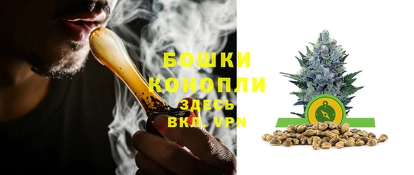 прущие грибы Гусь-Хрустальный