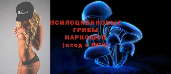 тгк Горняк
