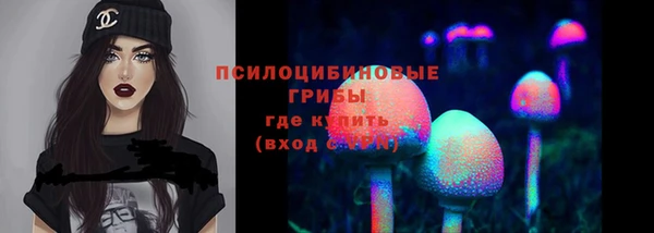 марки lsd Горно-Алтайск