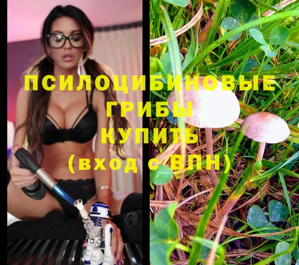 твердый Горнозаводск