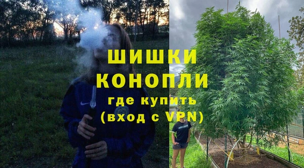 твердый Горнозаводск